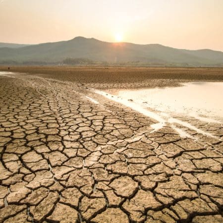 Comment la désinformation NFT nuit à l&rsquo;environnement