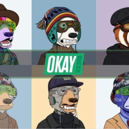 Okay Bears NFT Collection : Le guide complet