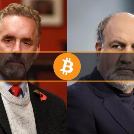 L’auteur de Black Swan et Jordan Peterson s’affrontent à propos de Bitcoin