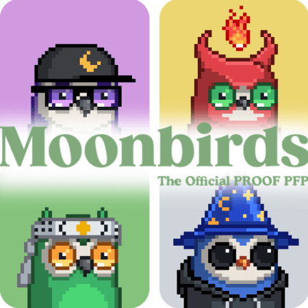 Un guide des Moonbirds : que sont ces NFT PFP Owl ?