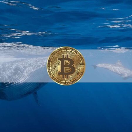 Les requins et les baleines Bitcoin ont accumulé 2 milliards de dollars de BTC depuis le dépôt de l’ETF de BlackRock