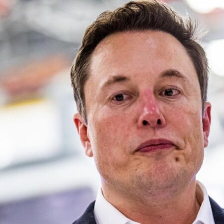 Mise à jour sur le recours collectif contre Elon Musk Dogecoin : conférence du tribunal prévue
