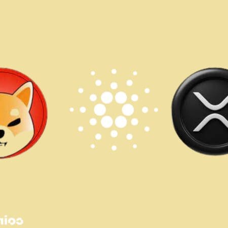 Plongez dans l&rsquo;univers des Crypto Waves : Découvrez les dernières tendances de la cryptomonnaie