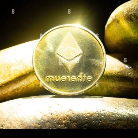 La révolution du masque crypto : une protection pour vos transactions en ligne