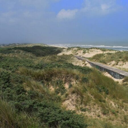 Le cours du sable : un nouvel actif en crypto à surveiller de près