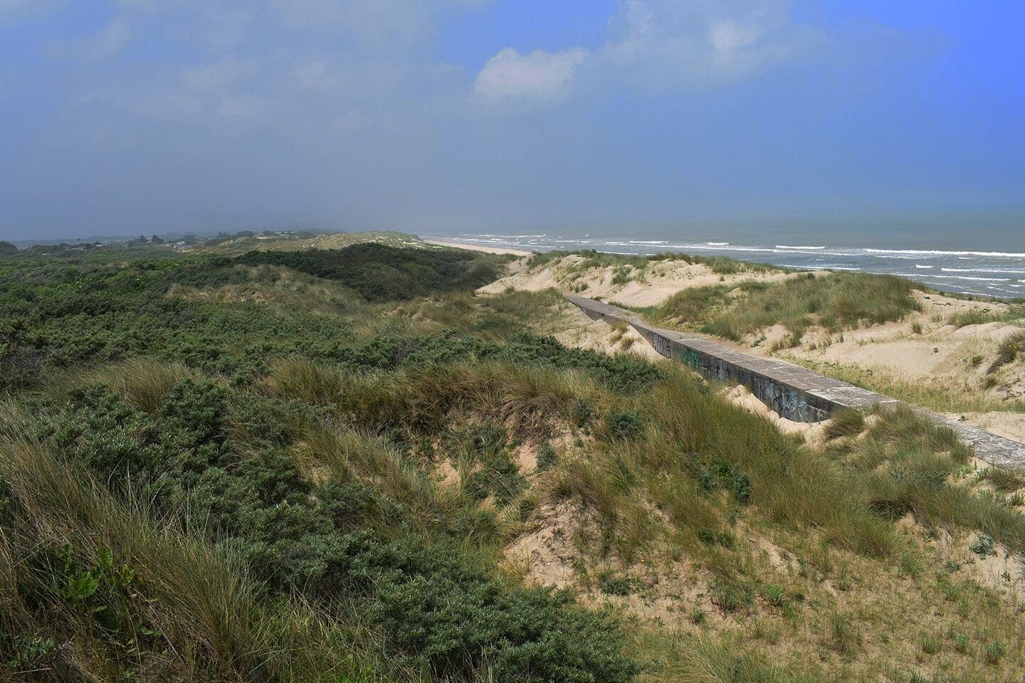 Le cours du sable : un nouvel actif en crypto à surveiller de près -  Blockchain France