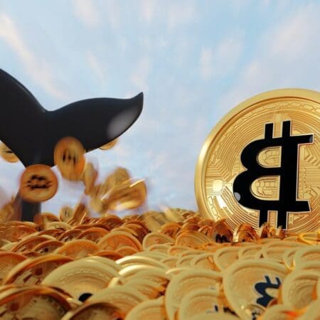 Les mystères de la crypto-monnaie Coqonut révélés : Tout ce que vous devez savoir !