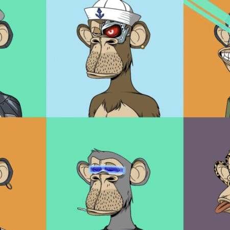 Les singes NFT: une solution originale pour lutter contre l&rsquo;ennui