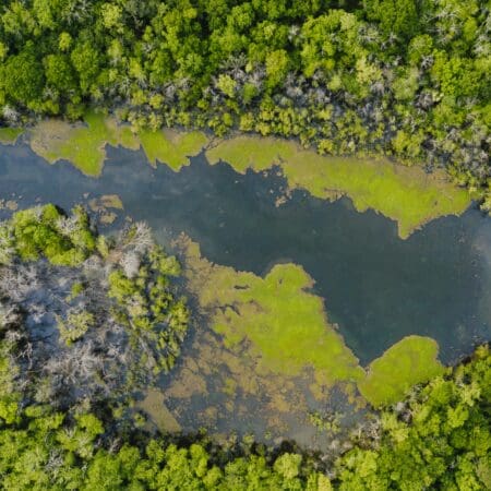 Cryptomonnaie, Jeu Vidéo et Durabilité Environnementale : Aborder les Préoccupations Énergétiques