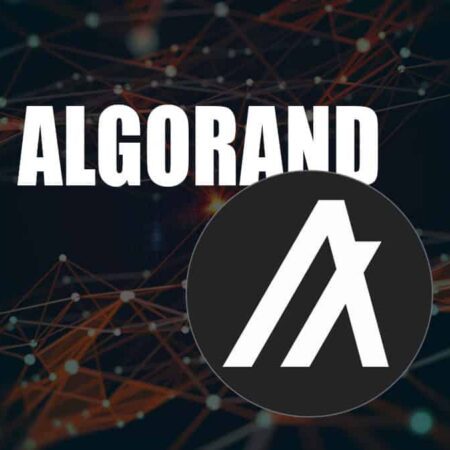 Algorand : Avis sur la nouvelle révolution de la blockchain