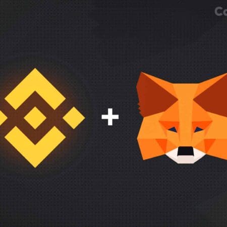 Comment connecter Metamask à Binance pour échanger des cryptomonnaies ?