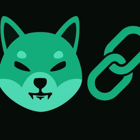 Shiba Inu Dev révèle des attaques coordonnées après que « The Shib » ait nié toute information biaisée