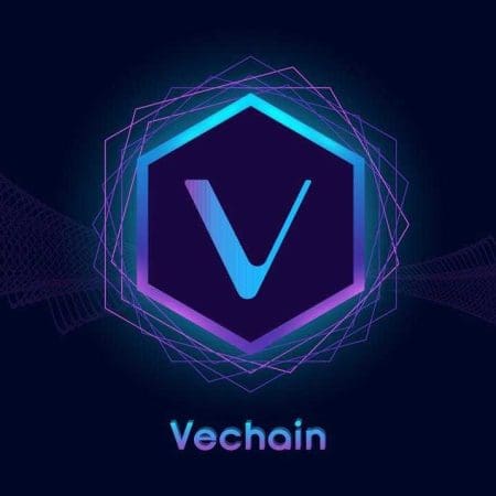VeChain récompensée dans une nouvelle recherche pour avoir aidé les entreprises à renforcer la confiance dans les allégations environnementales