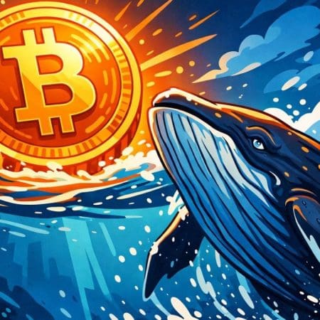 Bitcoin Whale envoie 20 millions de dollars en BTC à Binance, faisant allusion à une vente possible
