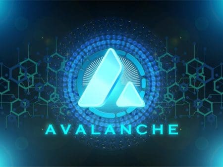 W3.io lance la plateforme de contrôle financier des agents sur Avalanche
